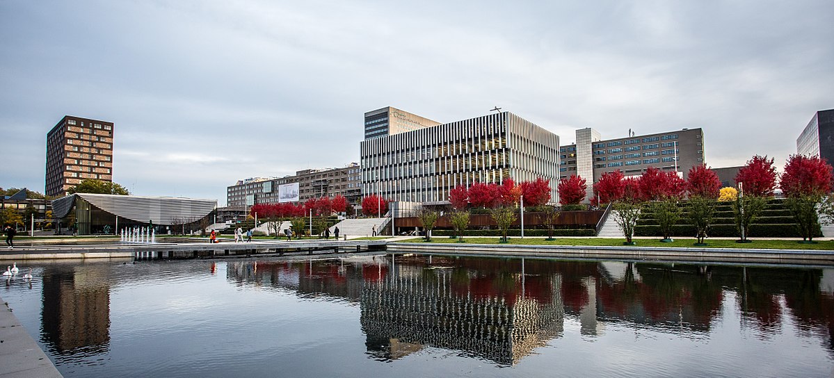 Rotterdam School of Management MScBA (MiM)